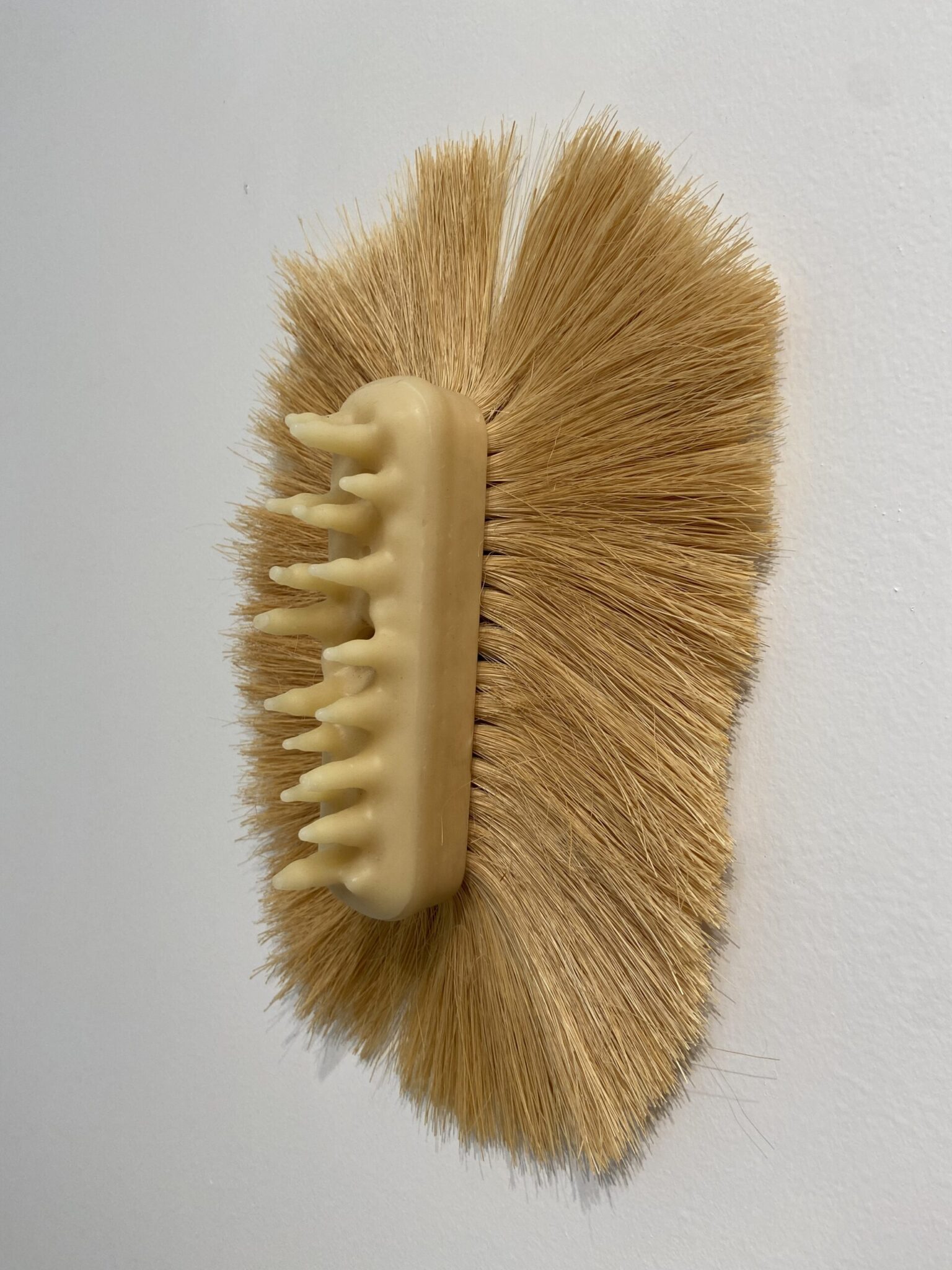 Sofía Fernández Díaz - Image 2