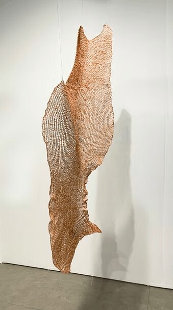 Sofía Fernández Díaz - Image 6