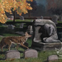 Kelly Dawson - Image 3