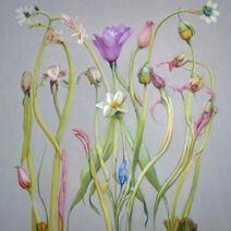 Alternative view of Colleen Hoffenbacker