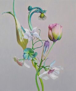Colleen Hoffenbacker