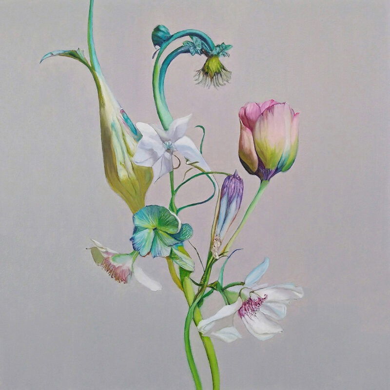 Colleen Hoffenbacker