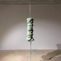 Amy Cannestra