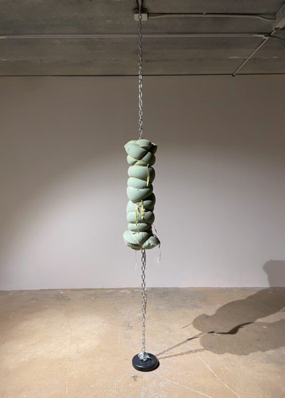 Amy Cannestra