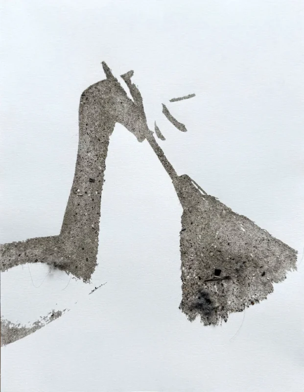 Shannon Cleere