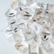 Alternative view of Jessica Swank