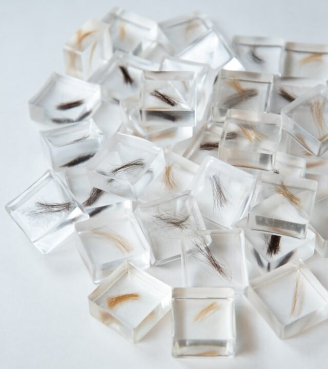 Jessica Swank - Image 2