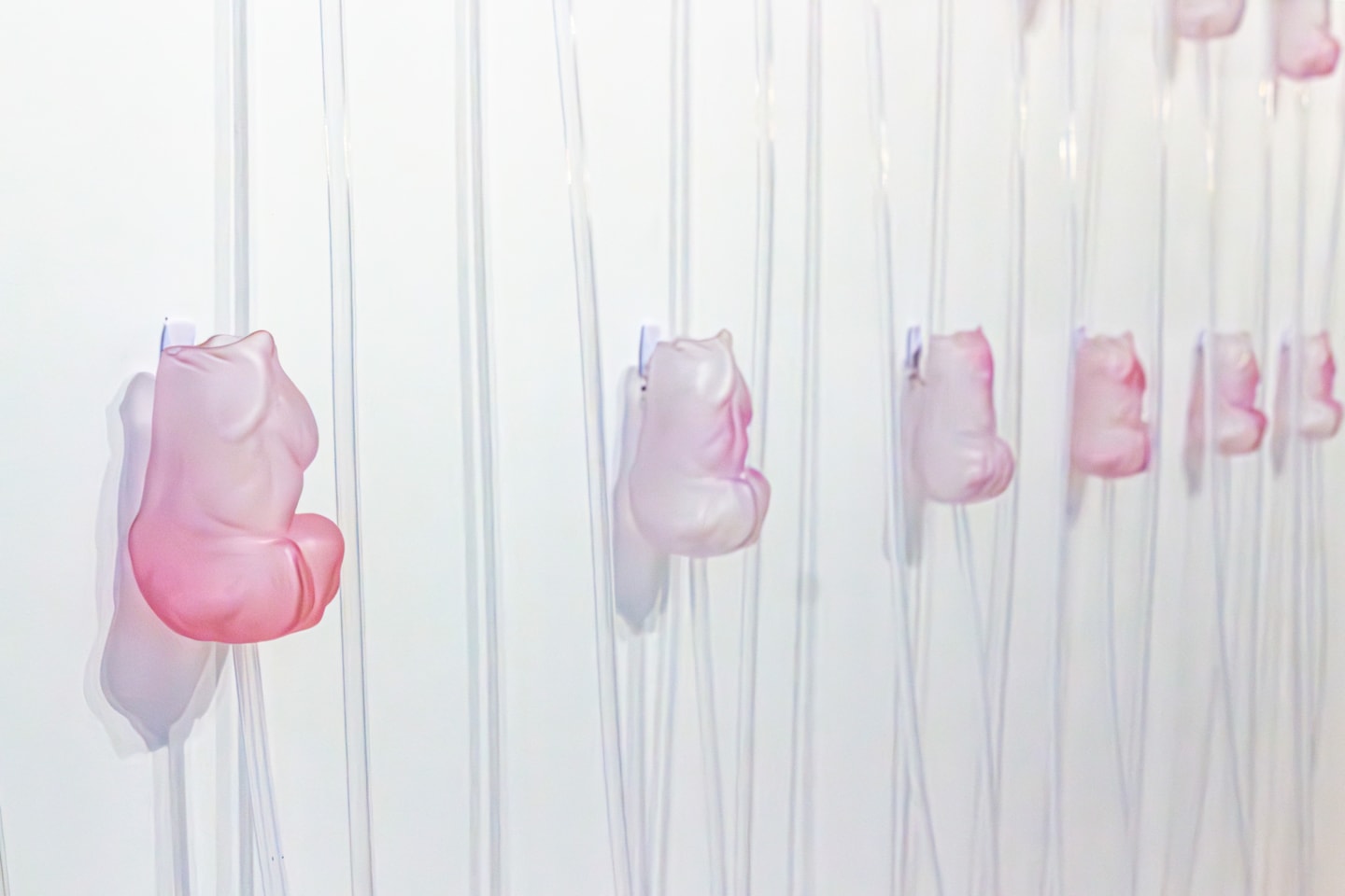 Yidi Wang - Image 2