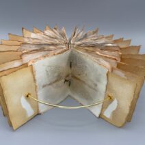 Alternative view of Erin K. Schmidt