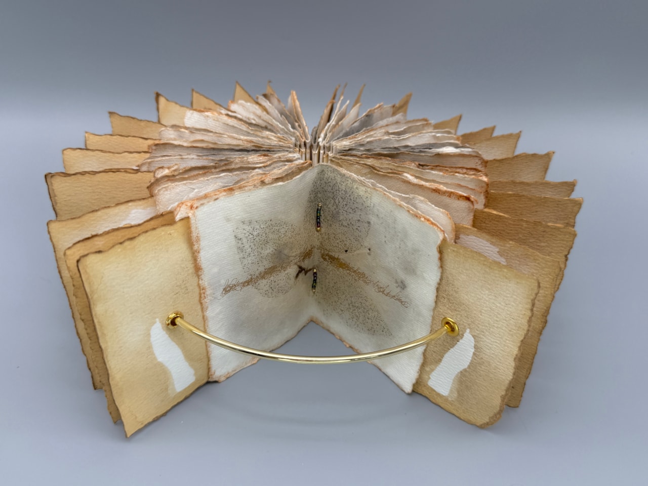 Erin K. Schmidt - Image 2