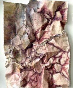 Sarita Kvam