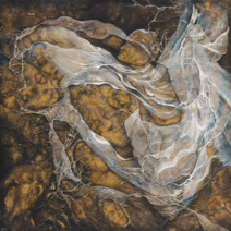 Deborah Splain - Image 3