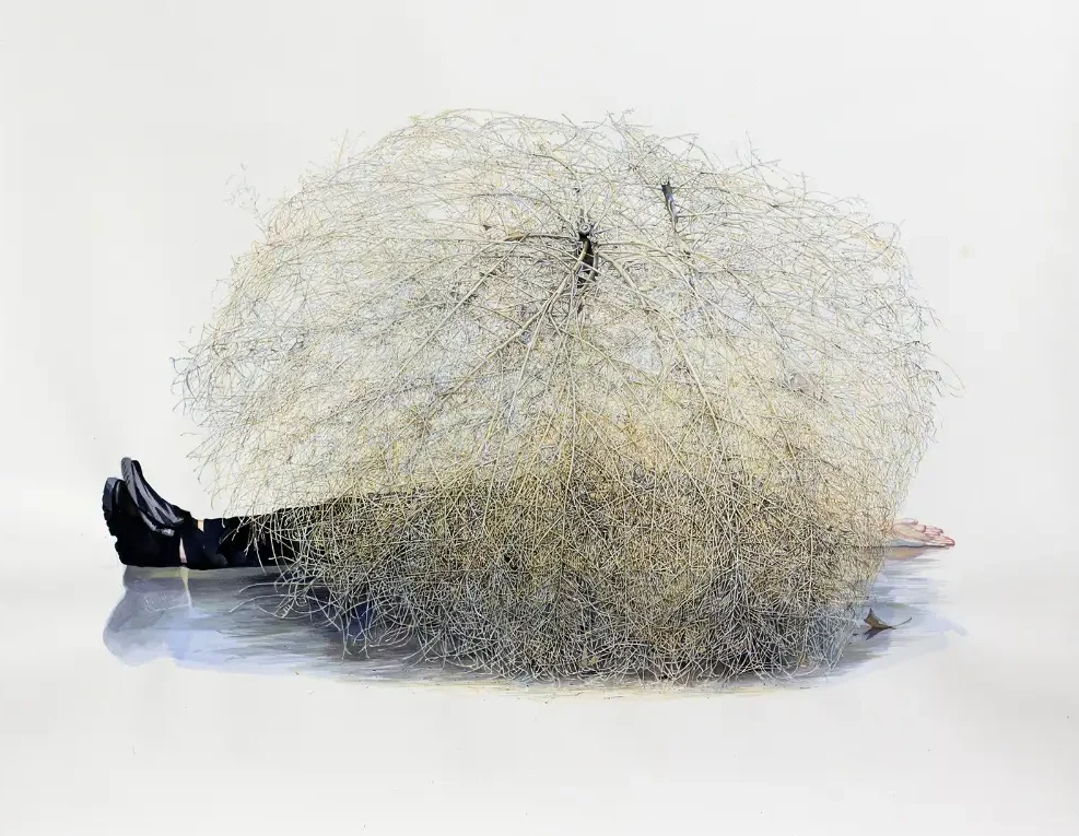 Jee Hwang - Image 2