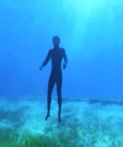 Kathie Foley-Meyer