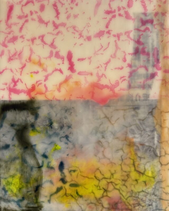 Donna Weiss