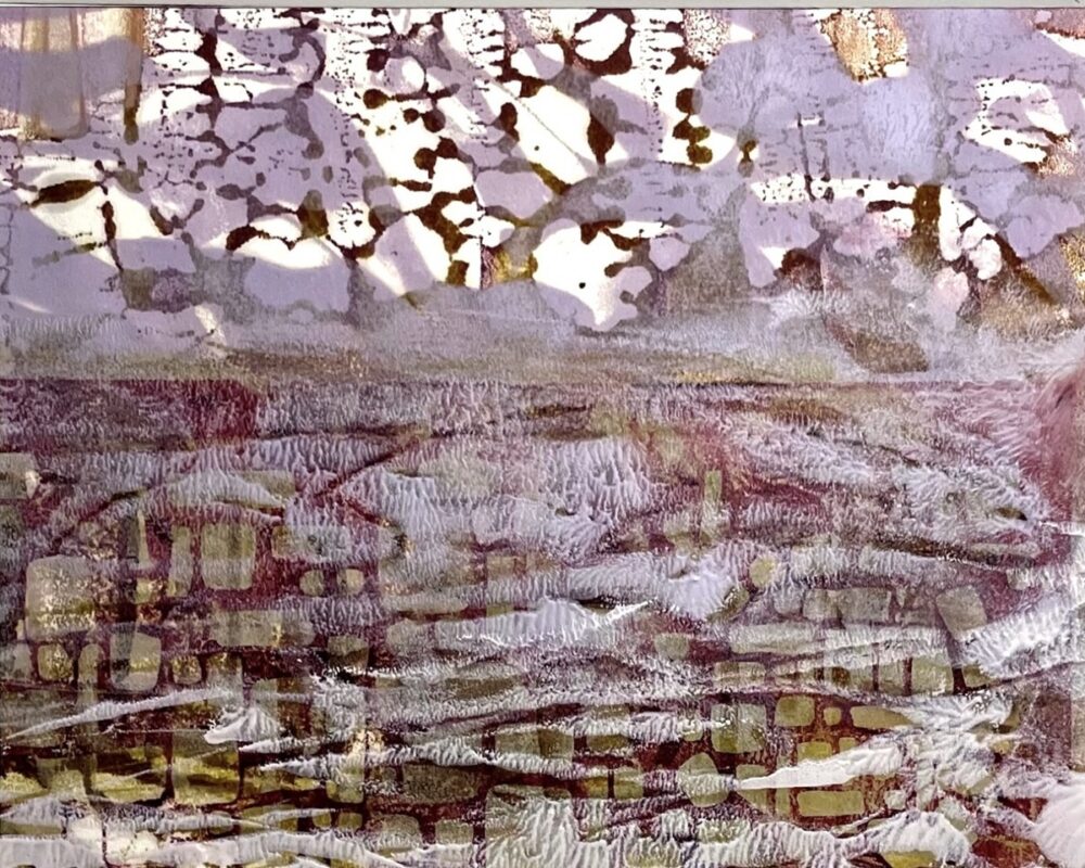 Karen Tichy