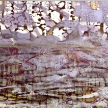 Karen Tichy