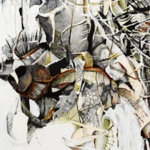 Barb Blacharczyk - Image 2