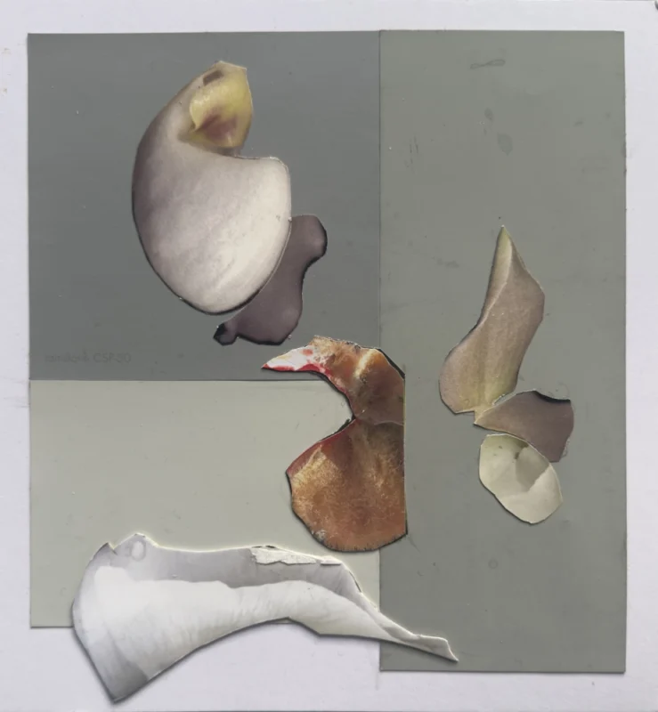 Charlotte	Gould