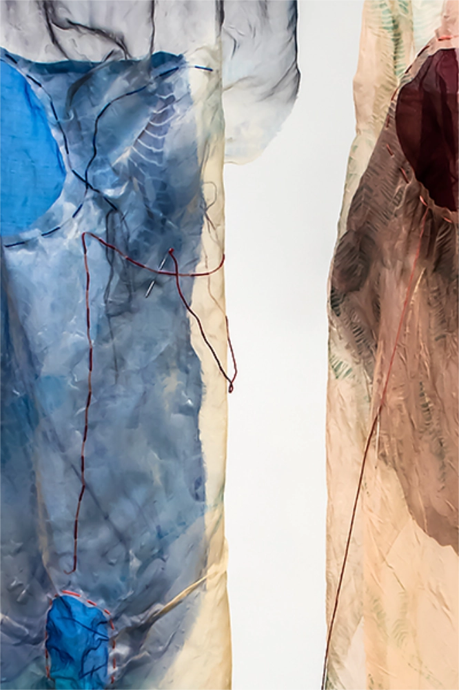 Deborah Hirshfield - Image 3
